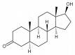 dihydrotestosterone